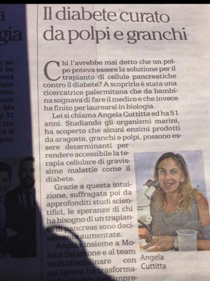 Rassegna stampa